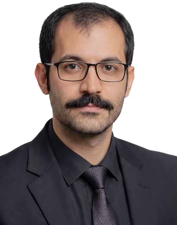 ALİ MEYVELİ