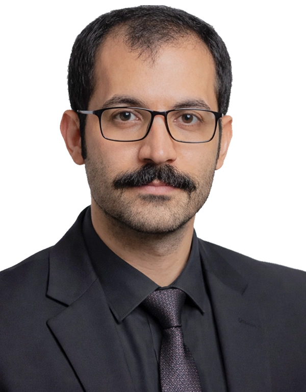 ALİ MEYVELİ ALİ MEYVELİ